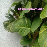 Condro - Bassmelodycondro