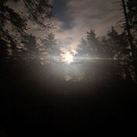 Lodi - Silence