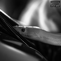 Should - Vipere (Explicit)