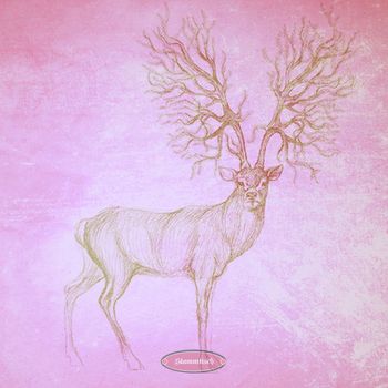 Various Artists - Shortlists