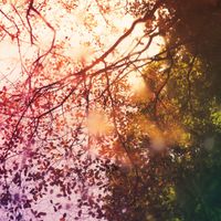 Absence - Names of Unknown Places