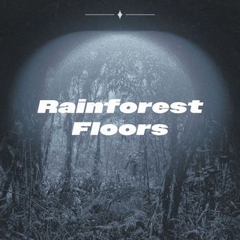 Various Artists - Rainforest Floors