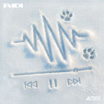 Padi - Press Winter