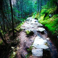 SPL - Breadsticks (Miam)