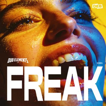 Dub Elements - Freak