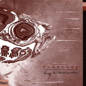 Puracane - Things You Should Leave Alone