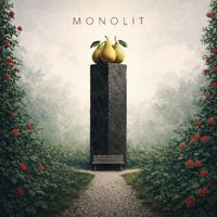 Zdravko Vujasinovic - Monolit