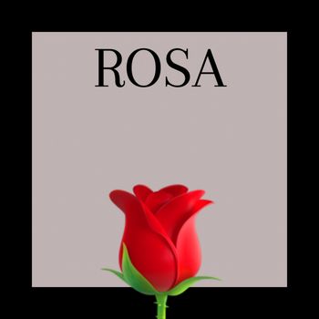 Capa - Rosa