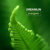 Dreamlin - Evergreen