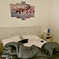 POSH - 222 (Explicit)
