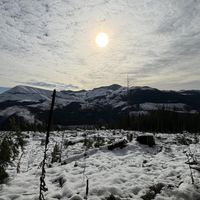Sundog - Long Haul (Explicit)