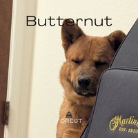 Forest - Butternut