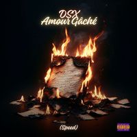 DSX - Amour Gache (Speed) (Explicit)