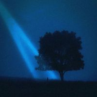 Kiko - Remembering What We Had