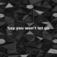 NIC - Say You Won't Let Go