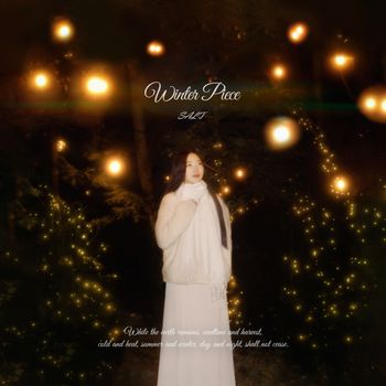 SALT - 겨울 조각