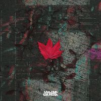 Mayple - Mirage