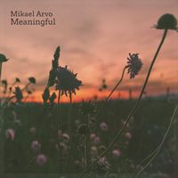 Mikael Arvo - Meaningful