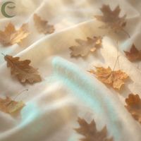 Forest Breeze Piano - Woodland Focus Piano