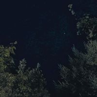 left - everyday bleeds