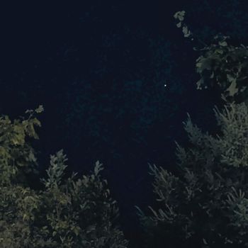 left - everyday bleeds