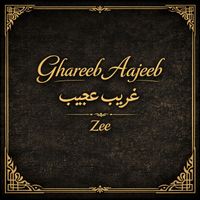 Zee - Ghareeb Aajeeb