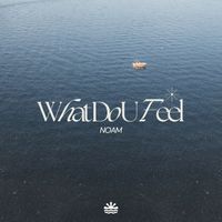 NOAM - What Do U Feel