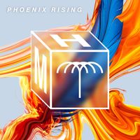 Chaim - Phoenix Rising