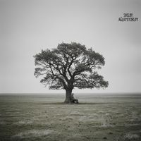 Shelby - Ağlamıyorum