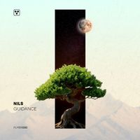 Dj Nils - Guidance (Original Mix)
