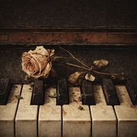 evergreen - Sad Lullaby