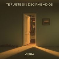 VIBRA - Te Fuiste Sin Decirme Adiós