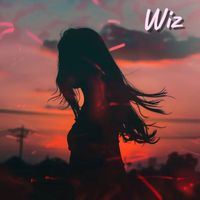 WIZ - เกิน
