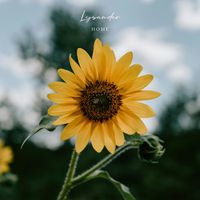 Lysander - Home