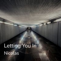 Nicolas - Letting You In