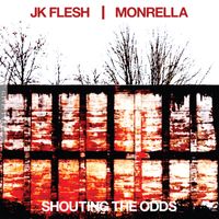 JK Flesh - DISAGREEABLE