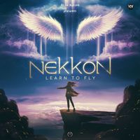 NeKKoN - Learn to Fly