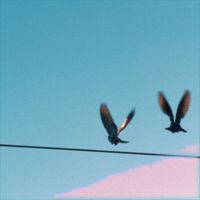 Oklahoma - Sail Into Me