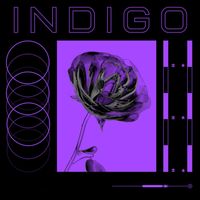 rozzo - Indigo