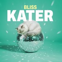 Bliss - Kater