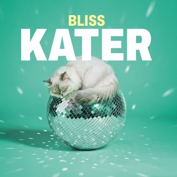 Bliss - Kater