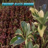 Condro - Tromp bass room