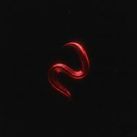 Classic - morph (Explicit)