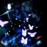 somnia - maybe in another life
