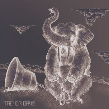 Trevor Davis - Nothing Ringing True