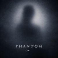 RONI - Phantom