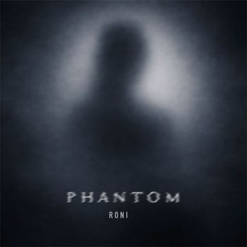RONI - Phantom