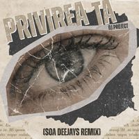 DJ Project - Privirea ta (SOA Deejays Remix)