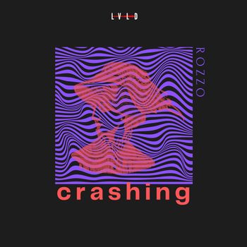 rozzo - crashing