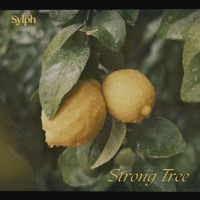 Sylph - Strong Tree